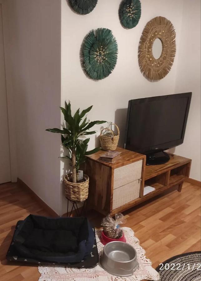 Vut San Felipe Apartment เกว็งกา ภายนอก รูปภาพ